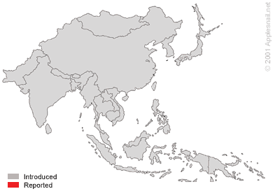 Distribution of Pomacea canaliculata in Asia