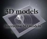 3D models