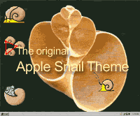 Apple snail theme